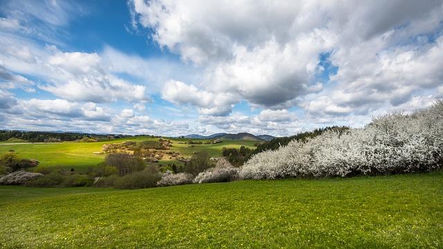 Pošta Stará Bělá: Nové Možnosti Přepravy v Regionu