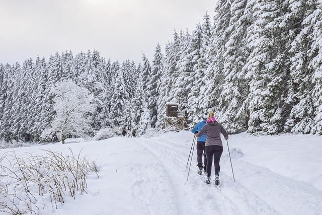 Poprad Tatry: Úschovna zavazadel pro lyžaře a turisty