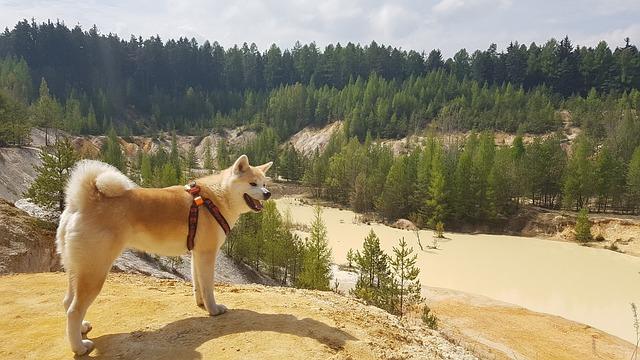 PSČ Moravský Písek: Jak Správně Adresovat Vaše Zásilky