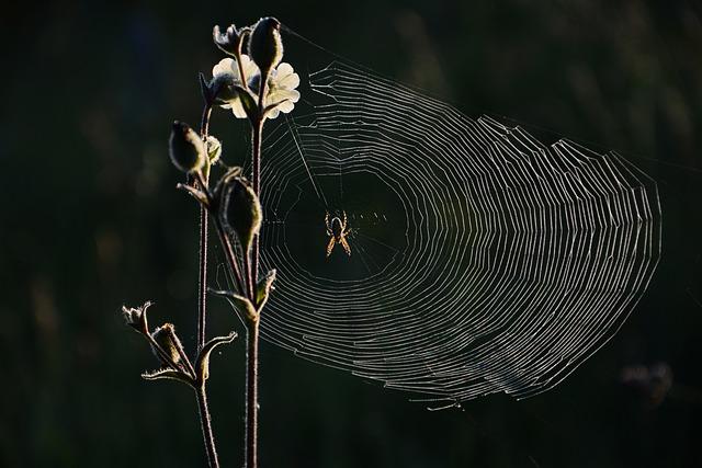 Chyby při použití neplatného poštovního směrovacího ​čísla