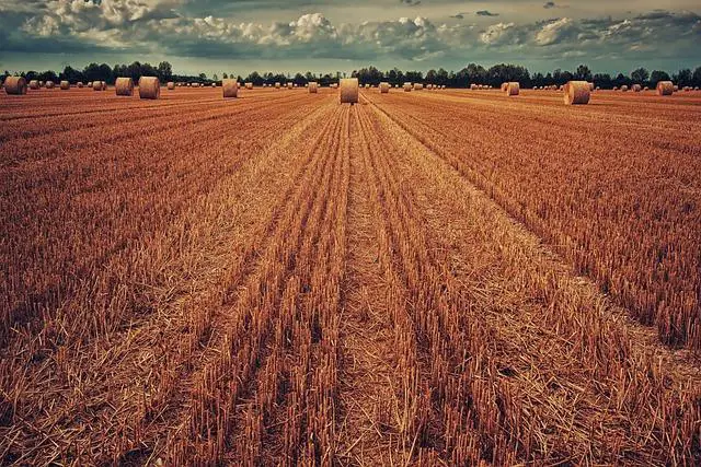 Bezpečné balíky a doporučená psaní na Telč PSČ