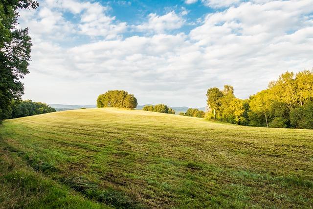 Rozsáhlá Klientská Síť a Spolehlivá Služba 24/7