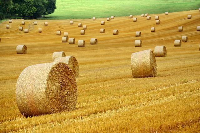 Odeslání balíku s Poštou Žebrák je rychlé a snadné