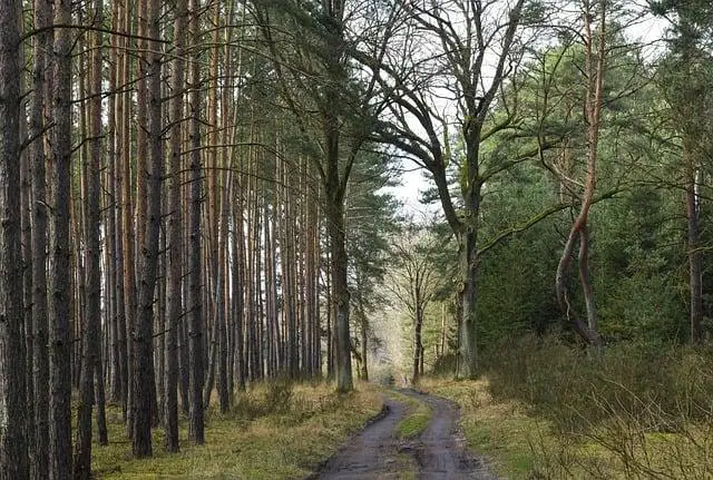 Bezpečný způsob balíkování do zahraničí: tipy pro minimalizaci rizika