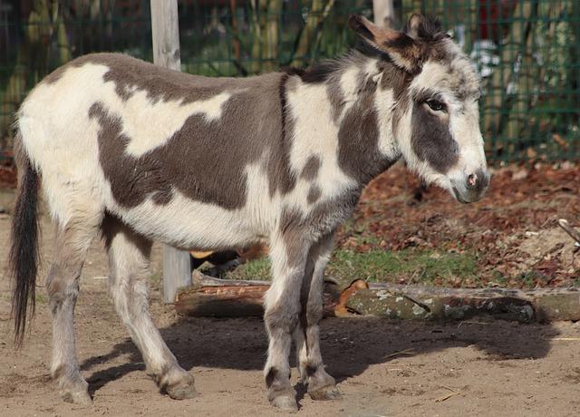 Zabezpečení spolehlivé dopravy bez komplikací