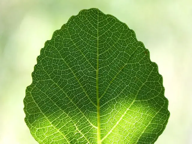 Možné důsledky a následné kroky v případě nedodání výzvy