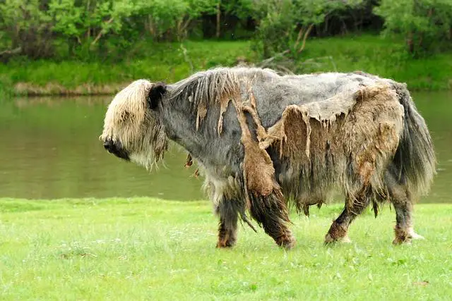 Jak Pošta Solní Může Pomoci S Rychlejším Doručením