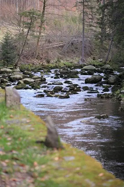 Šumavská: Historie a význam pro region